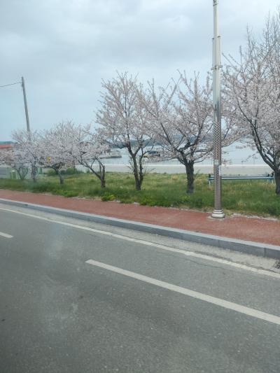 約一時間の郷土芸能