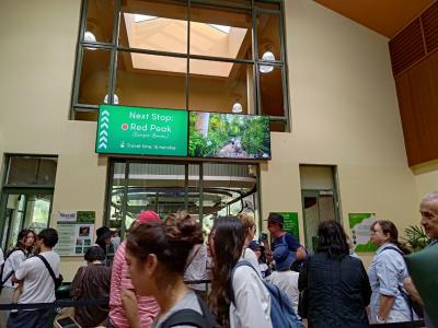 キュランダへ行くロープウェイ