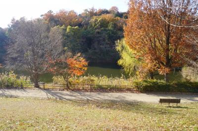 近所の住民がたまに利用する公園だと思います