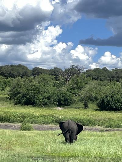 ドライブサファリはアクティブ、ボートサファリではのんびりと。