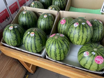 小玉スイカの名産地