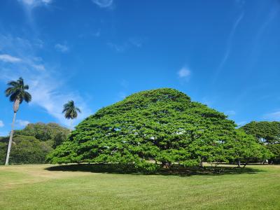 一度は行ってみて下さい