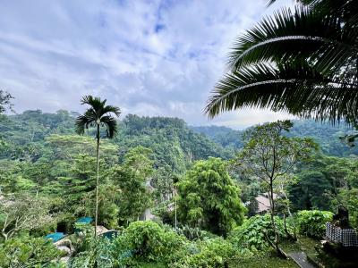 メインレストランからの風景