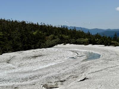 ドラゴンアイがドライアイ