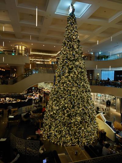 吹き抜けホールにはクリスマスツリー