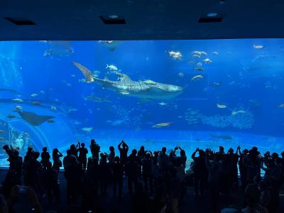 外国人観光客がめっちゃ多い！