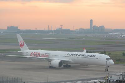 空港ビューのホテル