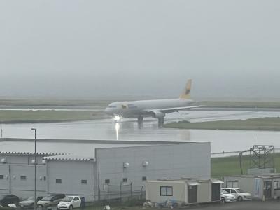 飛行機が良く見える