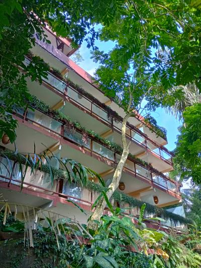 ジャングルリトリートの外観はショボい