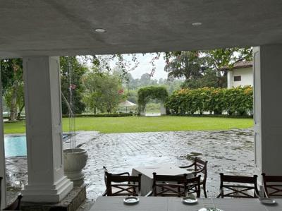 ロビーからの庭の眺め　あいにくの雨