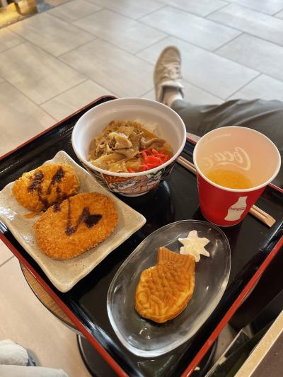 平日なのに外国人であるで長蛇！