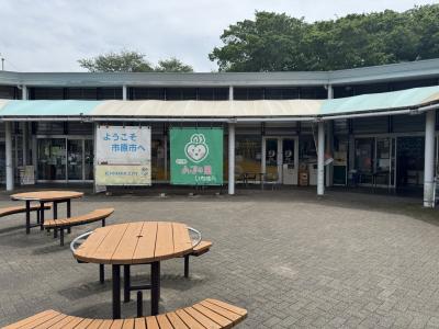 旬の農産物が購入できます。5月は山椒の実