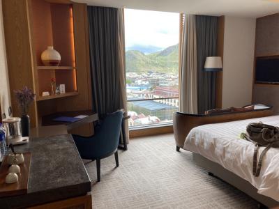 安く取れたのは良かったですが…