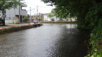 駅からすぐ、夏は特に涼しげ