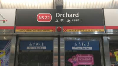 乗降者が多い駅