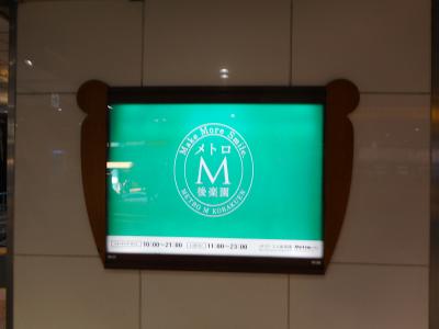 東京ドームでの野球観戦へ