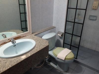 洗面台とトイレ、シャワーブース。１ヶ所にまとまっている