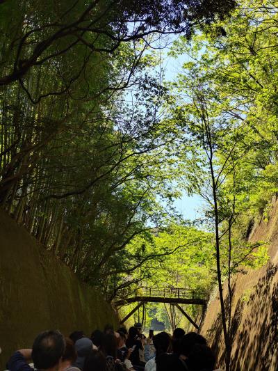 天然のウェスタンリバー鉄道