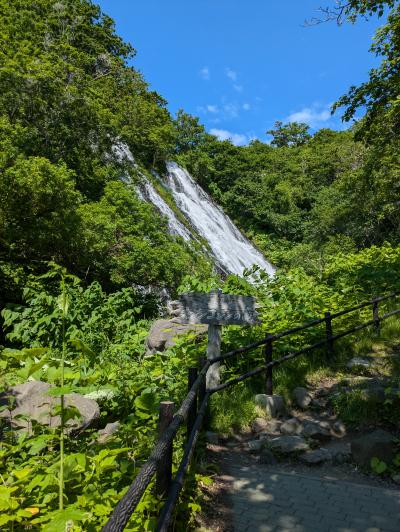 駐車場からすぐに行けます！