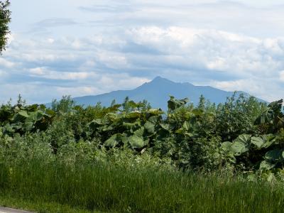 斜里岳は眺めるだけでも素晴らしい山です