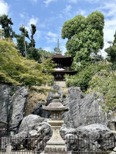 意外と良かったけど…