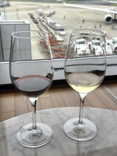 成田空港T1 第4サテライトの搭乗口47番ゲート付近にある『ターキッシュ エアラインズ ラウンジ』の口コミ