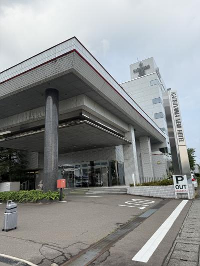 恐竜博物館に行くには最適