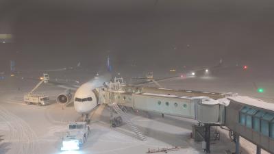 お店が充実　新千歳空港