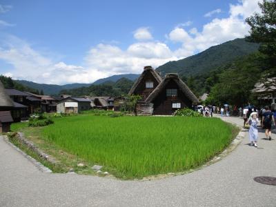 ようやく実現しました