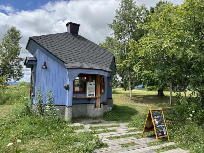 東京よりこちらの方が合っている気がします