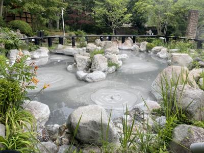 灰色の熱泥が球状に沸騰する様が坊主頭に似ていることが由来