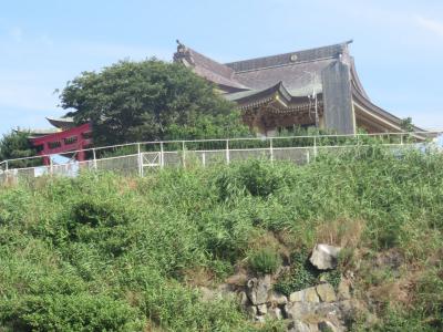 ウミネコ繁殖地・・・