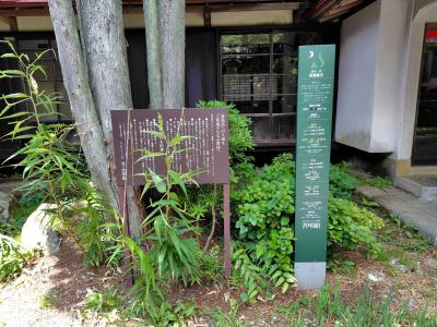 日本三大目の湯のひとつで日帰り湯治