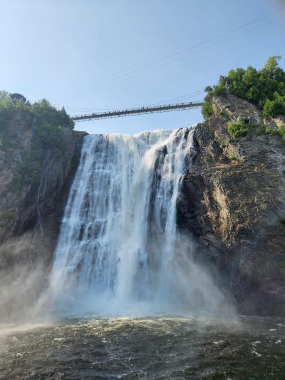 面白かったです