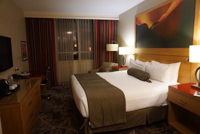 部屋は広くて綺麗です