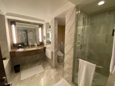 トイレ（開放的です）とシャワーブース