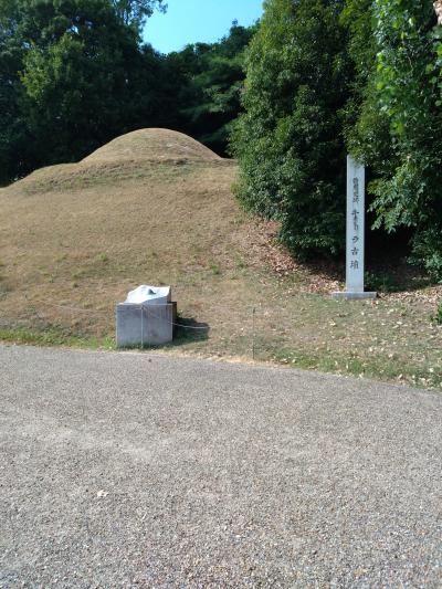 壁画公開が人気です