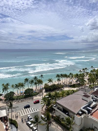 お部屋からの景色です