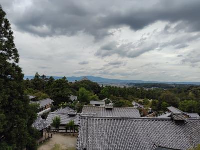 階段を上がると東大寺と生駒山が見えます！
