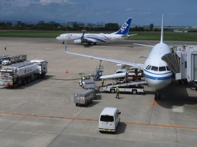 仙台⇔上海（浦東国際空港）の路線に搭乗