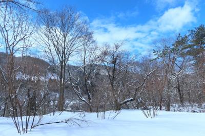 悠の湯　風の季