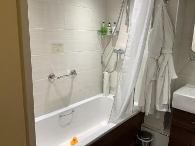 アヒルがお出迎え