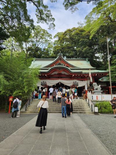 インスタ映えのテーマパークみたい(笑)