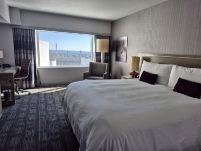 広々としています