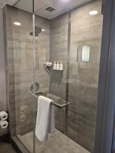 シャワーの水圧が弱いのが難点でした