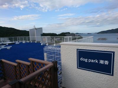 再度 dogプールへ