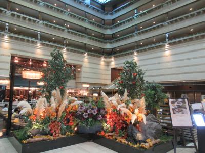 京都御苑の西側に