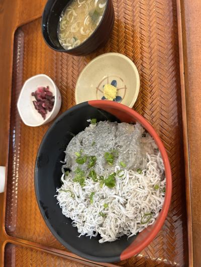 行列の先の新鮮な魚定食のお店