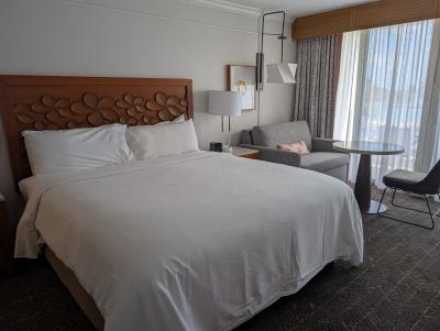 プールが巨大！