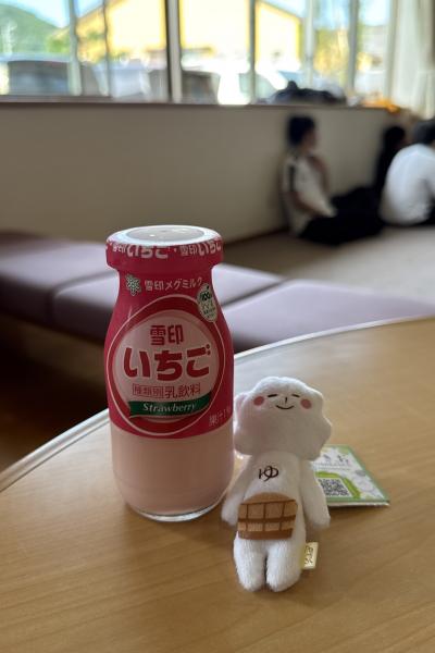 天空の非公認キャラゆきおが売られていました！